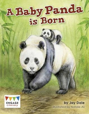 Jay Dale - A Baby Panda is Born - 9781474731621 - V9781474731621