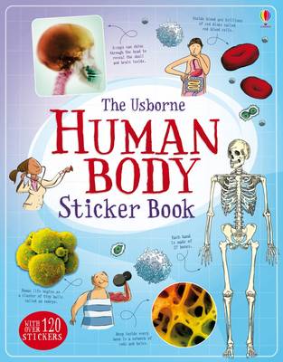 Alex Frith - Human Body Sticker Book - 9781474903691 - KSG0014104