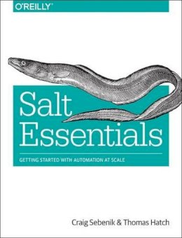 Craig Sebenik - Salt Essentials - 9781491900635 - V9781491900635