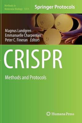 Magnus Lundgren (Ed.) - CRISPR: Methods and Protocols - 9781493926862 - V9781493926862
