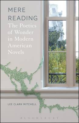 Lee Clark Mitchell - Mere Reading: The Poetics of Wonder in Modern American Novels - 9781501329647 - V9781501329647