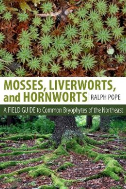 Ralph Pope - Mosses, Liverworts, and Hornworts - 9781501700781 - V9781501700781
