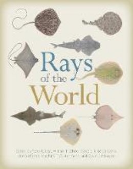 Gavin Naylor - Rays of the World - 9781501705328 - V9781501705328