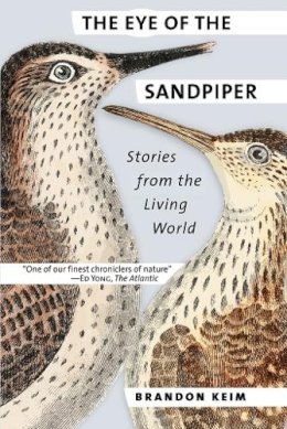 Brandon Keim - The Eye of the Sandpiper: Stories from the Living World - 9781501707728 - V9781501707728 Brandon Keim - The Eye of the Sandpiper: Stories from the Living World - 9781501707728 - V9781501707728