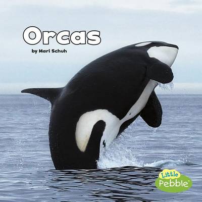 Mari Schuh - Orcas (Black and White Animals) - 9781515733928 - V9781515733928