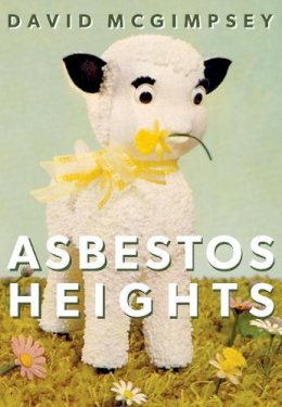 David Mcgimpsey - Asbestos Heights - 9781552453094 - V9781552453094