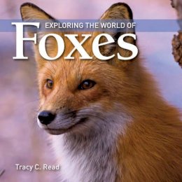 Tracy C. Read - Exploring the World of Foxes - 9781554076161 - V9781554076161