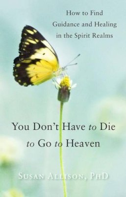 Susan Allison - You Don't Have to Die to Go to Heaven - 9781578635887 - V9781578635887