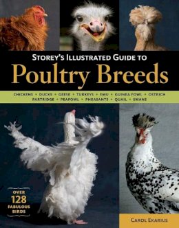 Carol Ekarius - Storey´s Illustrated Guide to Poultry Breeds: Chickens, Ducks, Geese, Turkeys, Emus, Guinea Fowl, Ostriches, Partridges, Peafowl, Pheasants, Quails, Swans - 9781580176675 - V9781580176675