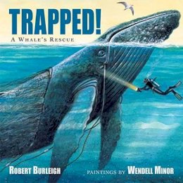 Robert Burleigh - Trapped! A Whale's Rescue - 9781580895583 - V9781580895583