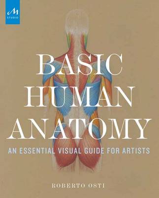 Roberto Osti - Basic Human Anatomy: An Essential Visual Guide for Artists - 9781580934381 - V9781580934381