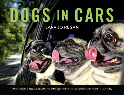 Lara Jo Regan - Dogs in Cars - 9781581574203 - V9781581574203