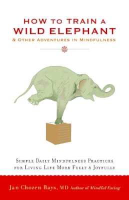 Jan Chozen Bays - How to Train a Wild Elephant: And Other Adventures in Mindfulness - 9781590308172 - V9781590308172