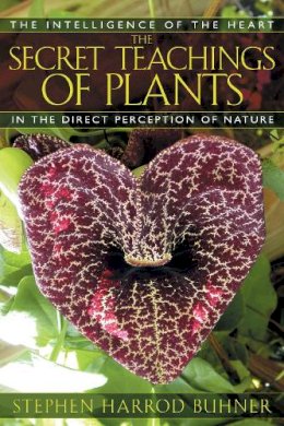 Stephen Harrod Buhner - The Secret Teachings of Plants: The Intelligence of the Heart in Direct Perception to Nature - 9781591430353 - V9781591430353