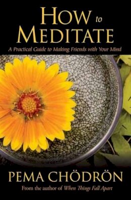 Pema Chodron - How to Meditate: A Practical Guide to Making Friends with Your Mind - 9781604079333 - V9781604079333