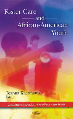 Joanna Kaczmarek (Ed.) - Foster Care and African-American Youth - 9781607415411 - V9781607415411