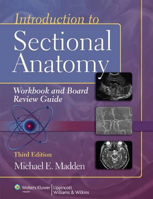 Michael Madden - Introduction to Sectional Anatomy Workbook and Board Review Guide - 9781609139629 - V9781609139629