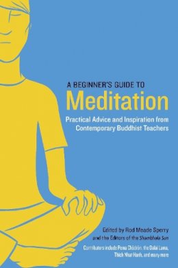 Rod Meade Sperry - A Beginner´s Guide to Meditation: Practical Advice and Inspiration from Contemporary Buddhist Teachers - 9781611800579 - V9781611800579