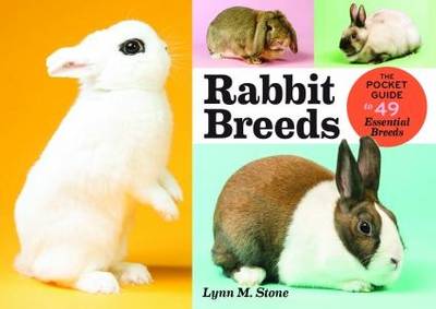 Lynn M. Stone - Rabbit Breeds - 9781612126029 - V9781612126029