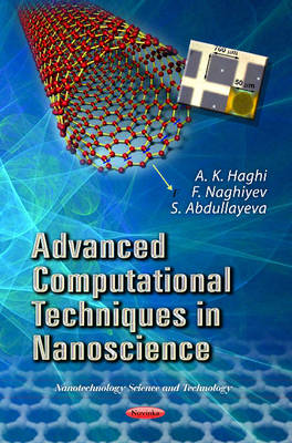 A K Haghi - Advanced Computational Techniques in Nanoscience - 9781622577910 - V9781622577910