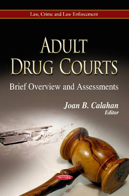 Joan B Calahan - Adult Drug Courts: Brief Overview & Assessments - 9781624171635 - V9781624171635
