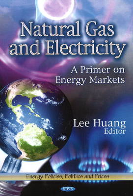 Lee Huang - Natural Gas & Electricity: A Primer on Energy Markets - 9781624177125 - V9781624177125