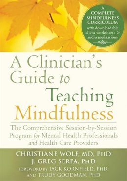 Christiane Wolf - A Clinician´s Guide to Teaching Mindfulness: The Comprehensive Session-by-Session Program for Mental Health Professionals and Health Care Providers - 9781626251397 - V9781626251397
