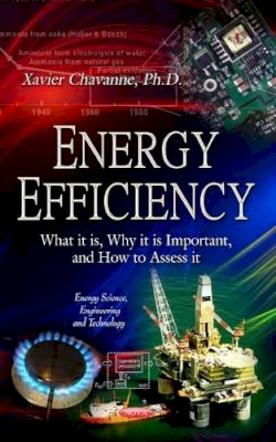 Xavier Chavanne - Energy Efficiency: What it is, Why it is Important, and How to Assess it - 9781628087642 - V9781628087642