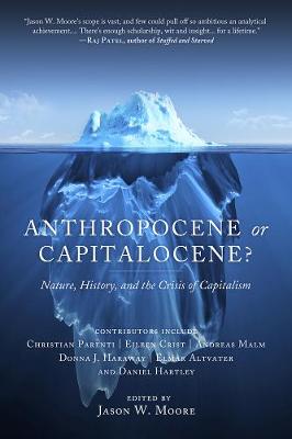 Jason W Moore - Anthropocene Or Capitalocene?: Nature, History, and the Crisis of Capitalism - 9781629631486 - V9781629631486