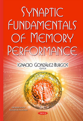 Ign Gonz Lez-Burgos - Synaptic Fundamentals of Memory Performance - 9781634832793 - V9781634832793