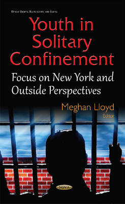 Meghan Lloyd (Ed.) - Youth in Solitary Confinement: Focus on New York & Outside Perspectives - 9781634835305 - V9781634835305