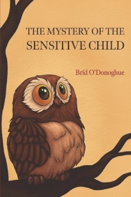 Brid O´donoghue - The Mystery of the Sensitive Child - 9781739316303 - 9781739316303