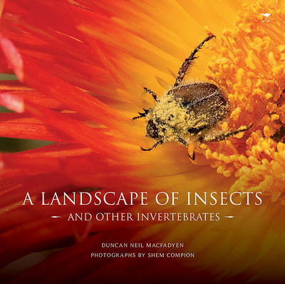 Duncan Neil Macfadyen - Landscape of Insects: And Other Invertebrates - 9781770097674 - V9781770097674