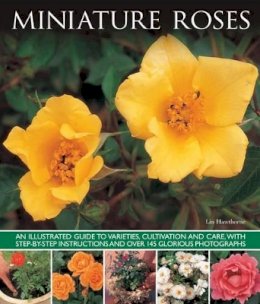Hawthorne Lin - Miniature Roses - 9781780193175 - V9781780193175