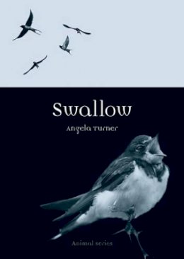 Angela Turner - Swallow - 9781780234915 - V9781780234915