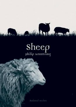 Philip Armstrong - Sheep - 9781780235936 - V9781780235936