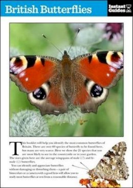 Instant Guides - British Butterflies: The Instant Guide - 9781780500096 - KHN0001964