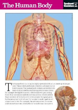 Instant Guides - The Human Body: The Instant Guide - 9781780500133 - V9781780500133