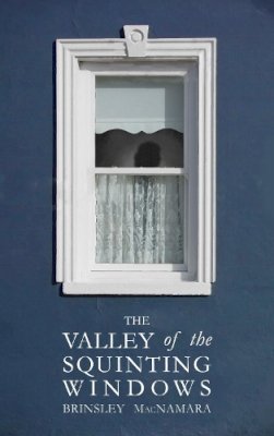 Brinsley Mcnamara - The Valley of the Squinting Windows - 9781781176498 - V9781781176498