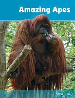 David Orme - Amazing Apes: Set 2 - 9781781270684 - V9781781270684