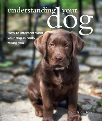 David Alderton - Understanding Your Dog: How to Interpret What Your Dog Is Really Telling You - 9781782493921 - 9781782493921