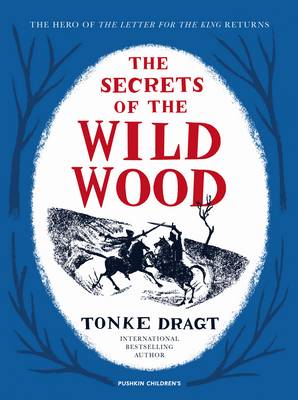 Tonke Dragt - The Secrets of the Wild Wood - 9781782690610 - V9781782690610
