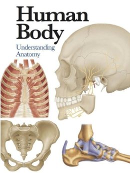 Jane De Burgh - Human Body: Understanding Anatomy - 9781782743774 - V9781782743774