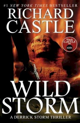 Richard Castle - Wild Storm: A Derrick Storm Novel - 9781783294305 - V9781783294305