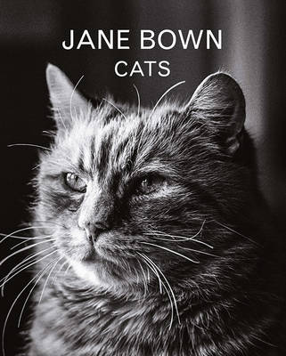 Jane Bown - Jane Bown: Cats - 9781783350872 - V9781783350872