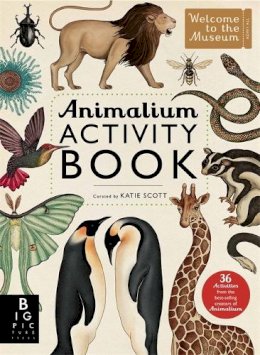 Katie Scott - Animalium Activity Book - 9781783703432 - V9781783703432