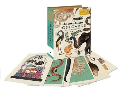  - Animalium Postcards (Welcome to the Museum) - 9781783706259 - V9781783706259