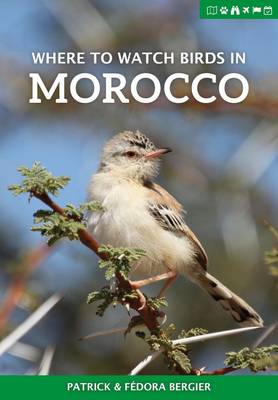 Patrick Bergier - Where to Watch Birds in Morocco - 9781784271442 - V9781784271442