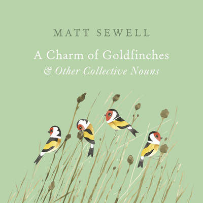 Matt Sewell - A Charm of Goldfinches and Other Collective Nouns - 9781785033889 - V9781785033889