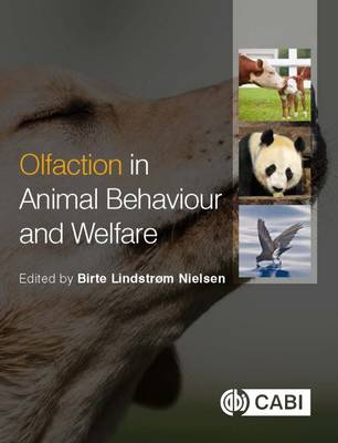 Birte Nielsen - Olfaction in Animal Behaviour and Welfare - 9781786391599 - V9781786391599